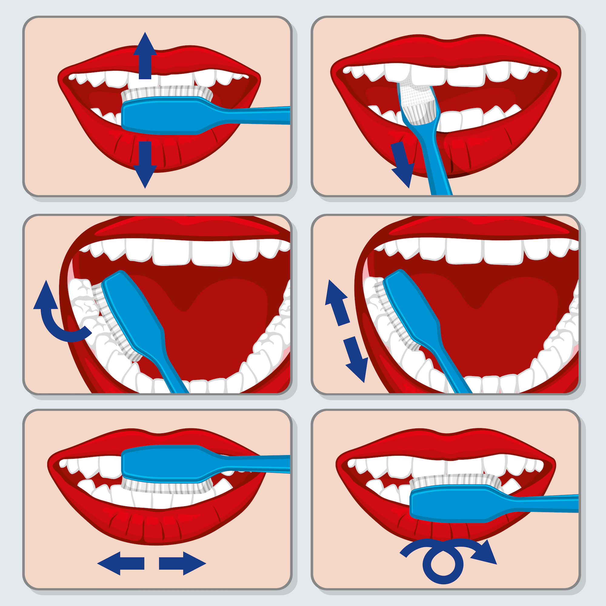 Teeth Brushing Technique | Dr Sandy Crocker | Kelowna Dentist